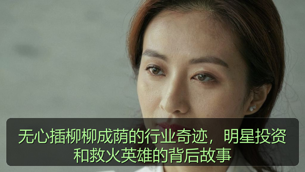 无心插柳柳成荫的行业奇迹，明星投资和救火英雄的背后故事