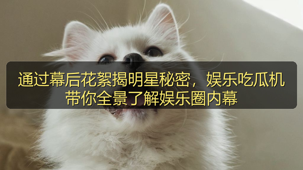 通过幕后花絮揭明星秘密，娱乐吃瓜机带你全景了解娱乐圈内幕