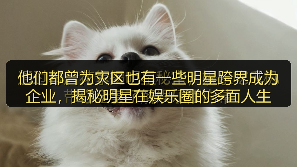 他们都曾为灾区也有一些明星跨界成为企业，揭秘明星在娱乐圈的多面人生
