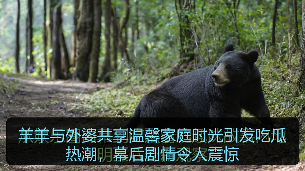羊羊与外婆共享温馨家庭时光引发吃瓜热潮，幕后剧情令人震惊