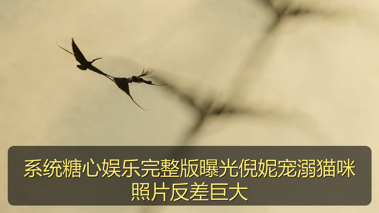 系统糖心娱乐完整版曝光倪妮宠溺猫咪照片反差巨大